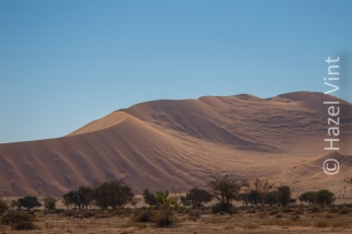 sossusvlei.namibia.wild.camping.nature.roadtrip.sand.dunes.hazel.vint.hazey.photography.travel.writer-10