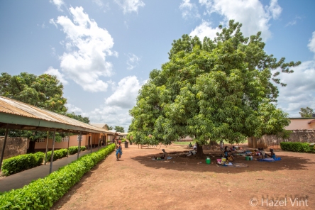often its nicer for patients to spend their days under a tree than in the wards
